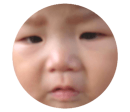 102541706