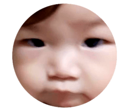 102541707