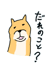 10256092