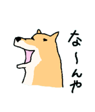 10256095