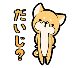 10257618