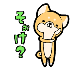 10257623