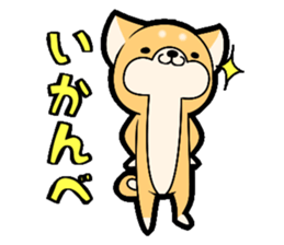 10257625