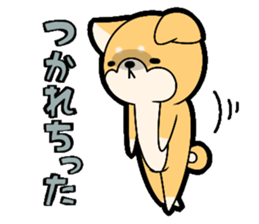 10257637