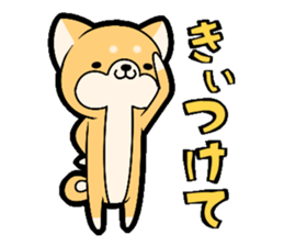 10257638
