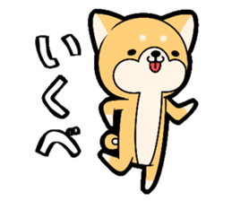 10257643