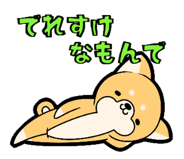 10257645