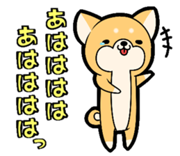 10257647