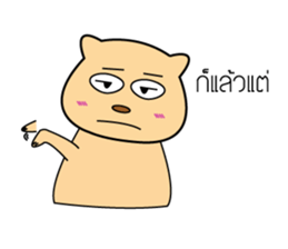 10262404