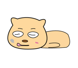 10262406