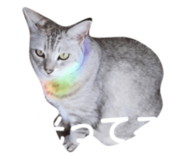 102647134