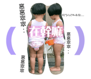 102661522
