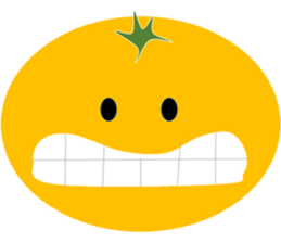 10269224