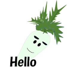 10269244