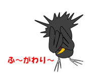 10272447