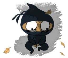 10279034