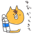 10289251