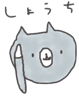 10289265
