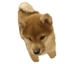 102903999