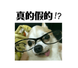 103023671