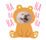 103070850