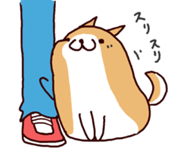 10309696
