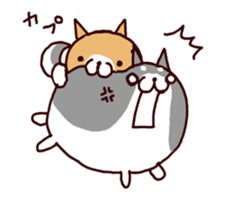 10309702