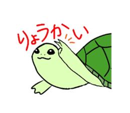 10334954