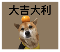 103444681