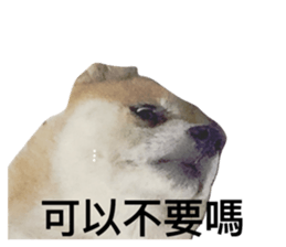 103444685