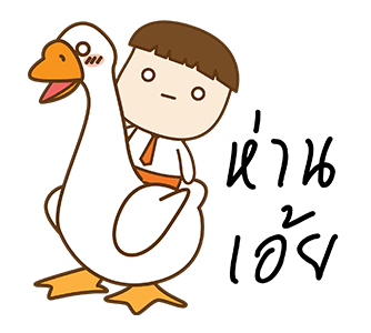 ลายที่ 13