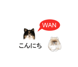 10348807
