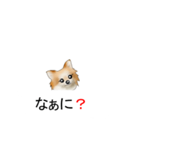 10348829