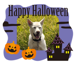103509736