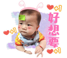 103716086