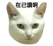 103737080