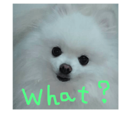 103761987