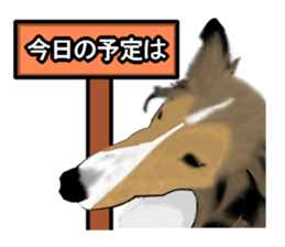 10379078