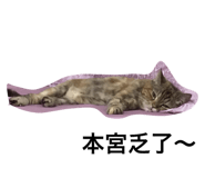 103813963