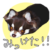 10386224