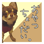 10386228