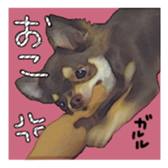 10386236
