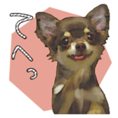 10386238