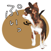 10386240