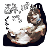 10386257