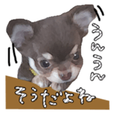 10386263
