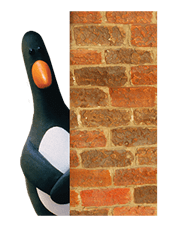 Wallace & Gromit รูปที่ 4