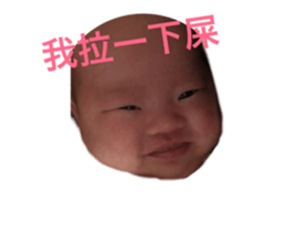 103881337