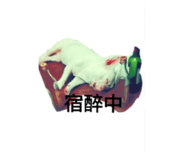 104002275