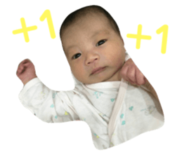 104035556
